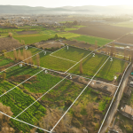 terrenos-la-palma-san-felipe-min